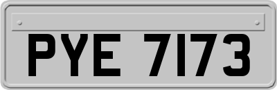 PYE7173