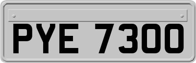 PYE7300