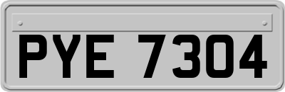 PYE7304