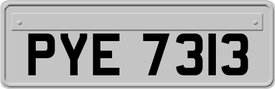 PYE7313