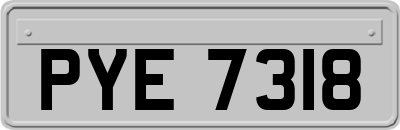 PYE7318