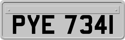 PYE7341