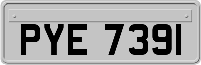 PYE7391