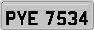 PYE7534