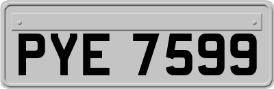 PYE7599