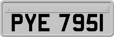 PYE7951