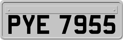 PYE7955