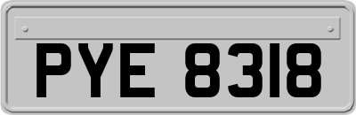 PYE8318