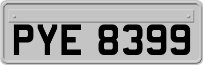 PYE8399