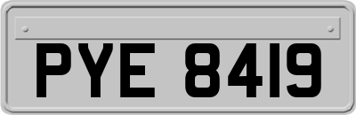 PYE8419