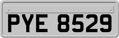 PYE8529