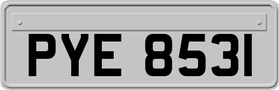 PYE8531