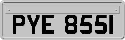 PYE8551