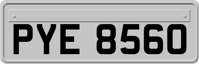 PYE8560