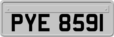 PYE8591