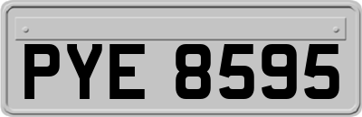 PYE8595