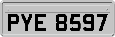 PYE8597