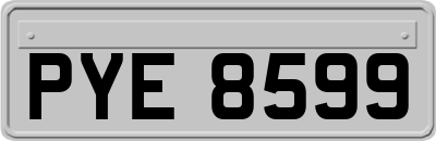 PYE8599