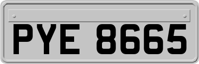 PYE8665