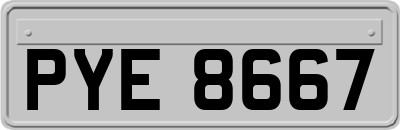 PYE8667