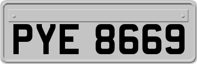 PYE8669