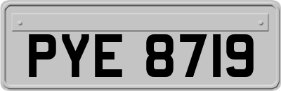 PYE8719