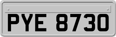 PYE8730