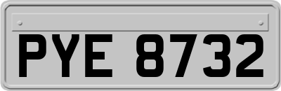 PYE8732