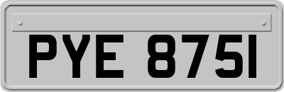 PYE8751