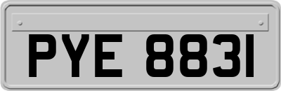 PYE8831