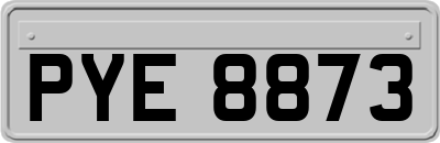 PYE8873