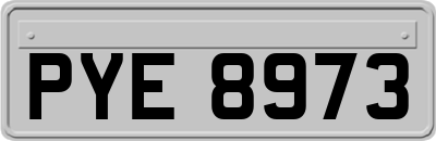 PYE8973