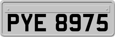 PYE8975