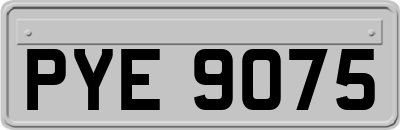 PYE9075