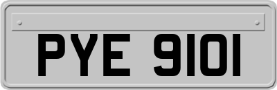 PYE9101