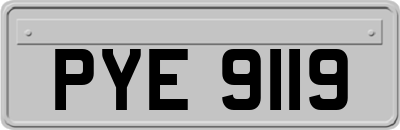 PYE9119