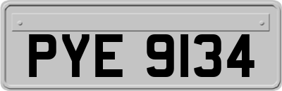 PYE9134