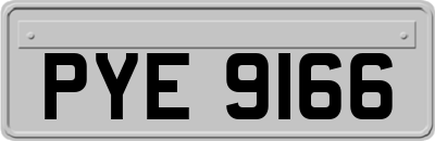 PYE9166