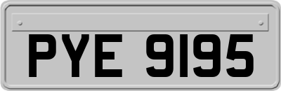 PYE9195