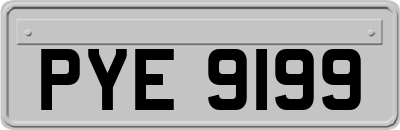 PYE9199