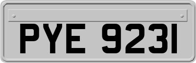 PYE9231