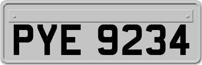 PYE9234