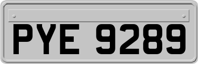 PYE9289