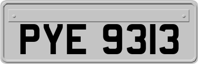 PYE9313