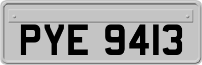 PYE9413