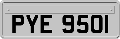 PYE9501