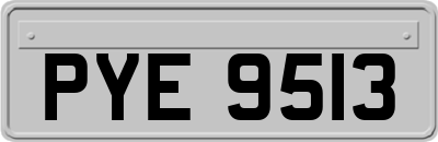 PYE9513