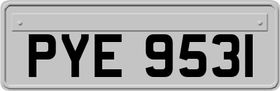 PYE9531