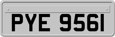PYE9561