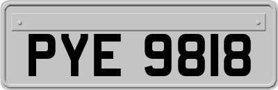 PYE9818